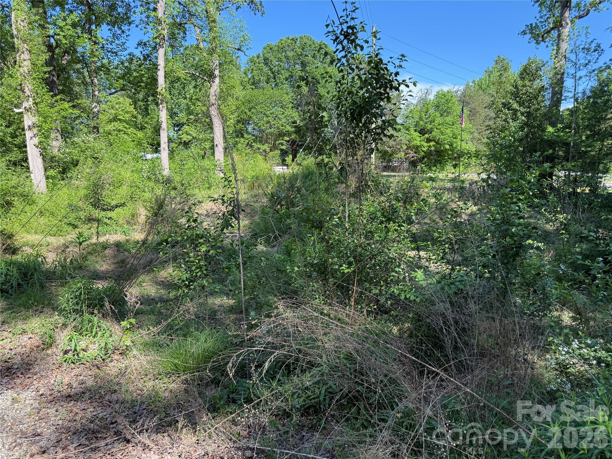 Acreage at 605 Shiloh Road, Statesville, photo 13 of 19