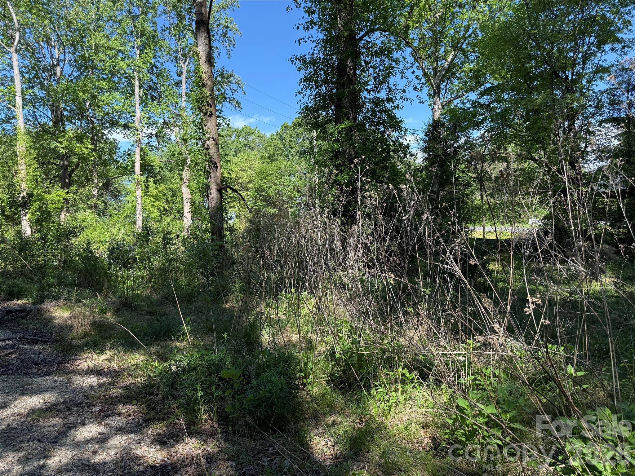 Acreage at 605 Shiloh Road, Statesville, photo 18 of 19