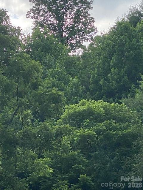 Gorgous private mountain with main road access - 000 East Fork Road, Marshall