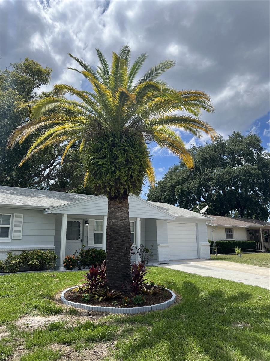 Single Family Residence at 4813 DOGWOOD ST, NEW PORT RICHEY, photo 32 of 48
