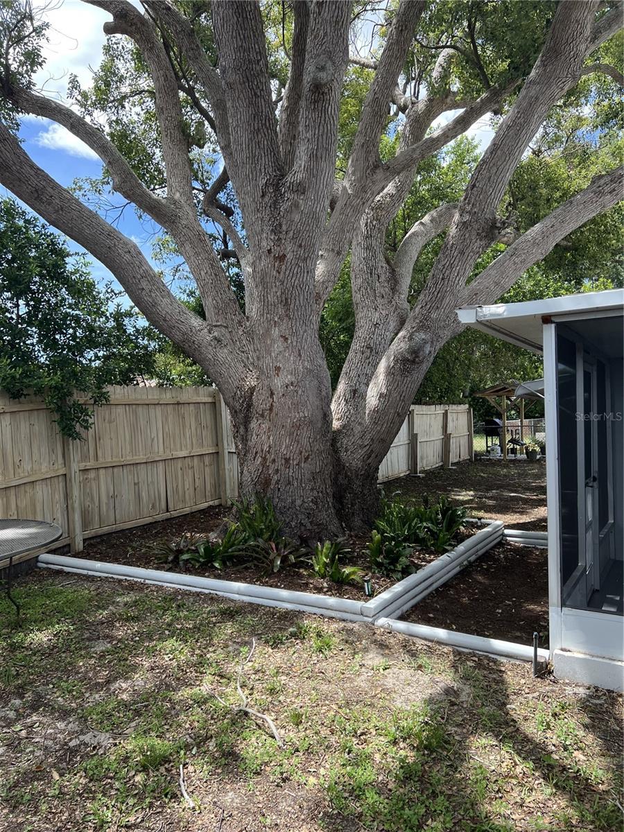 Single Family Residence at 4813 DOGWOOD ST, NEW PORT RICHEY, photo 36 of 48