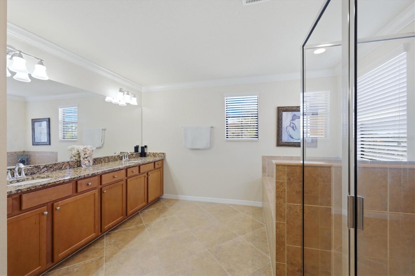 Primary bathroom - 12505 CANAVESE LN, VENICE