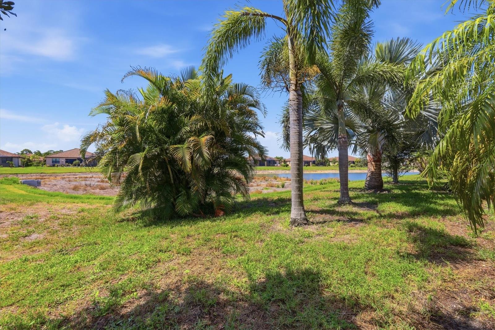 Yard - 12505 CANAVESE LN, VENICE