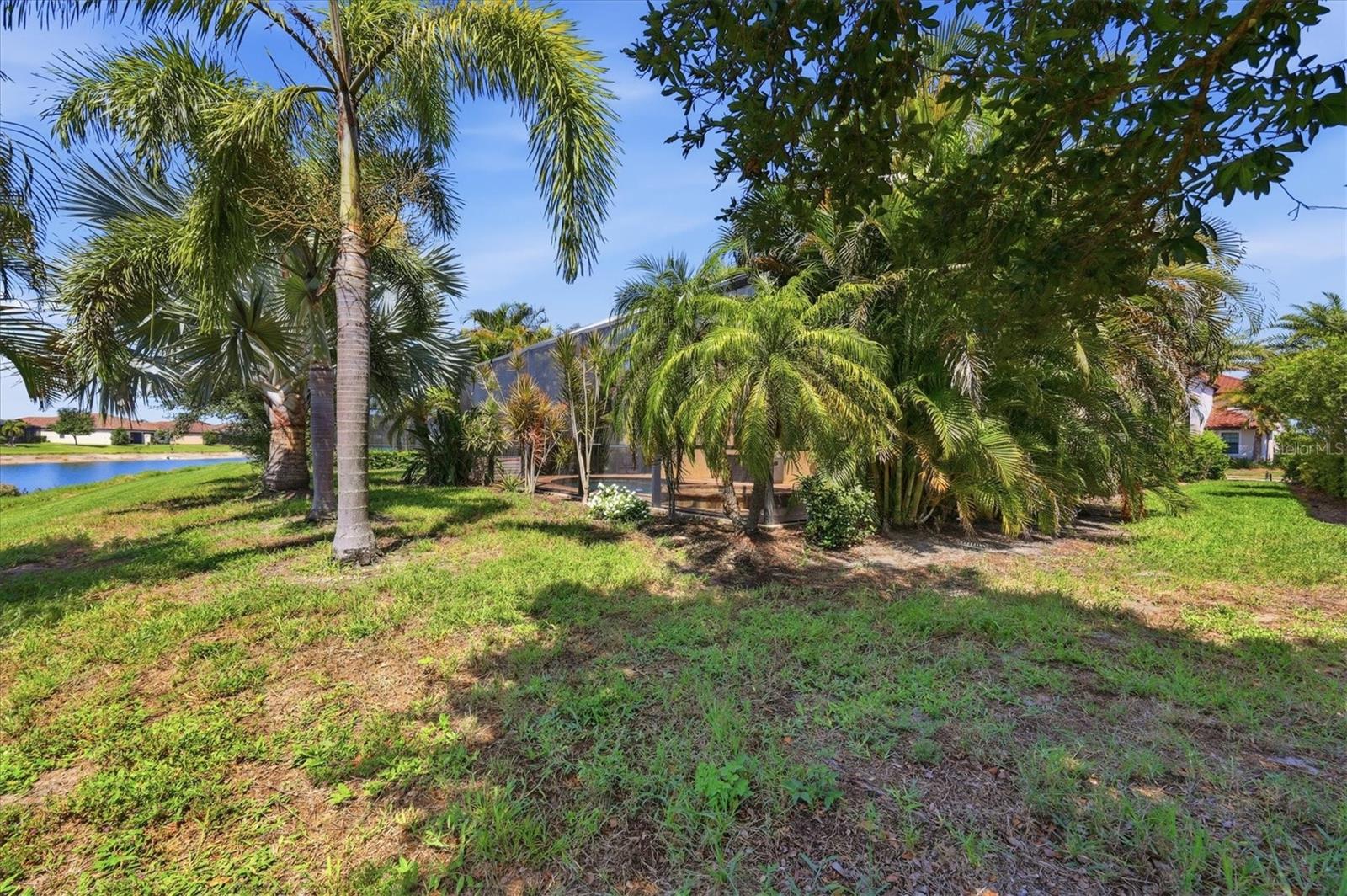Yard - 12505 CANAVESE LN, VENICE