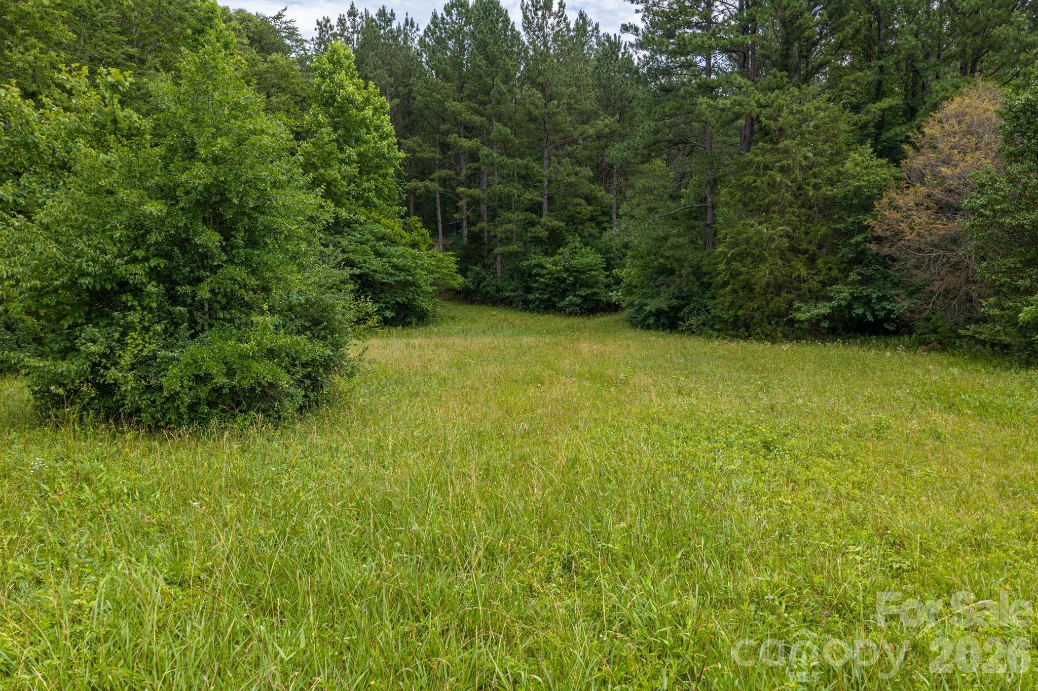 Acreage at 000 Logan Land Road, Lincolnton, photo 4 of 7