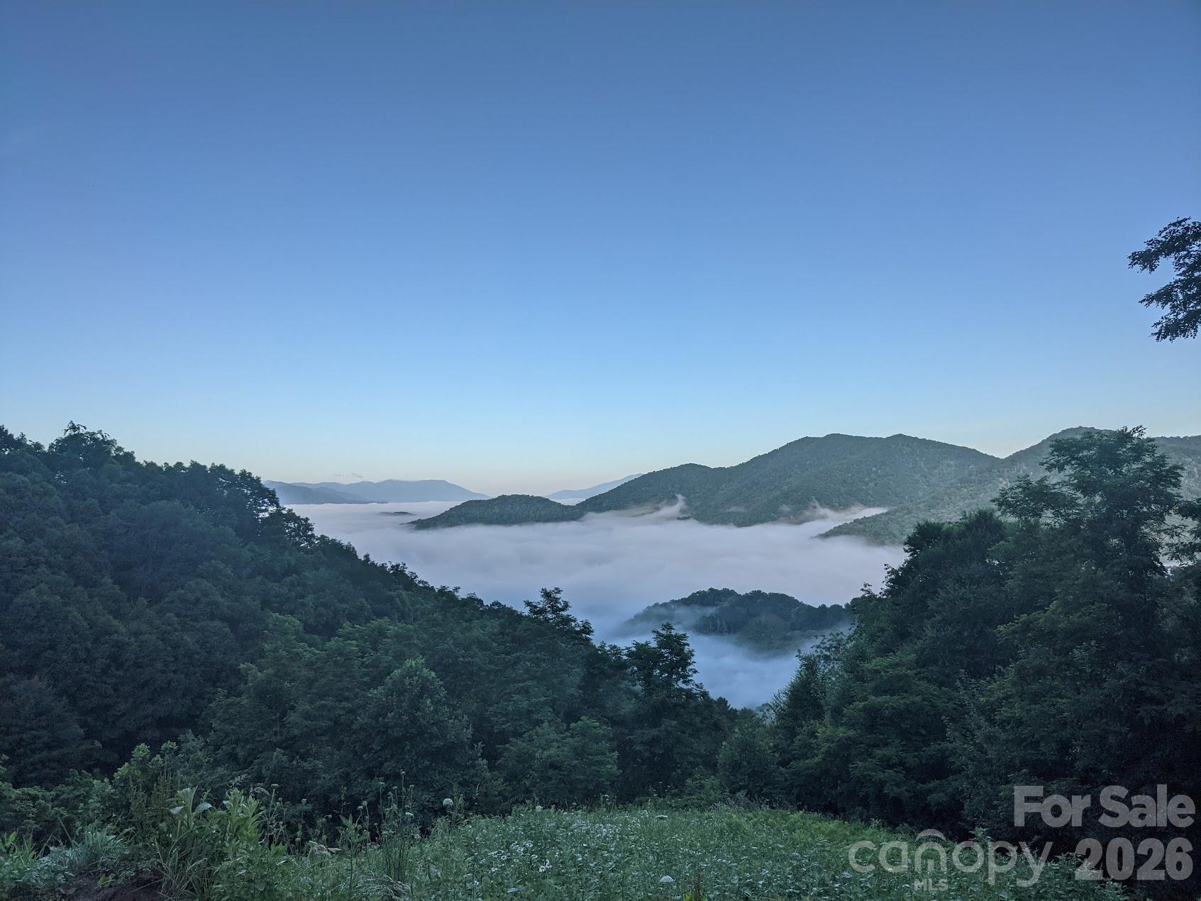 Sunrise photo captured via phone by the owners! - 1877 Wilson Cove Road, Canton