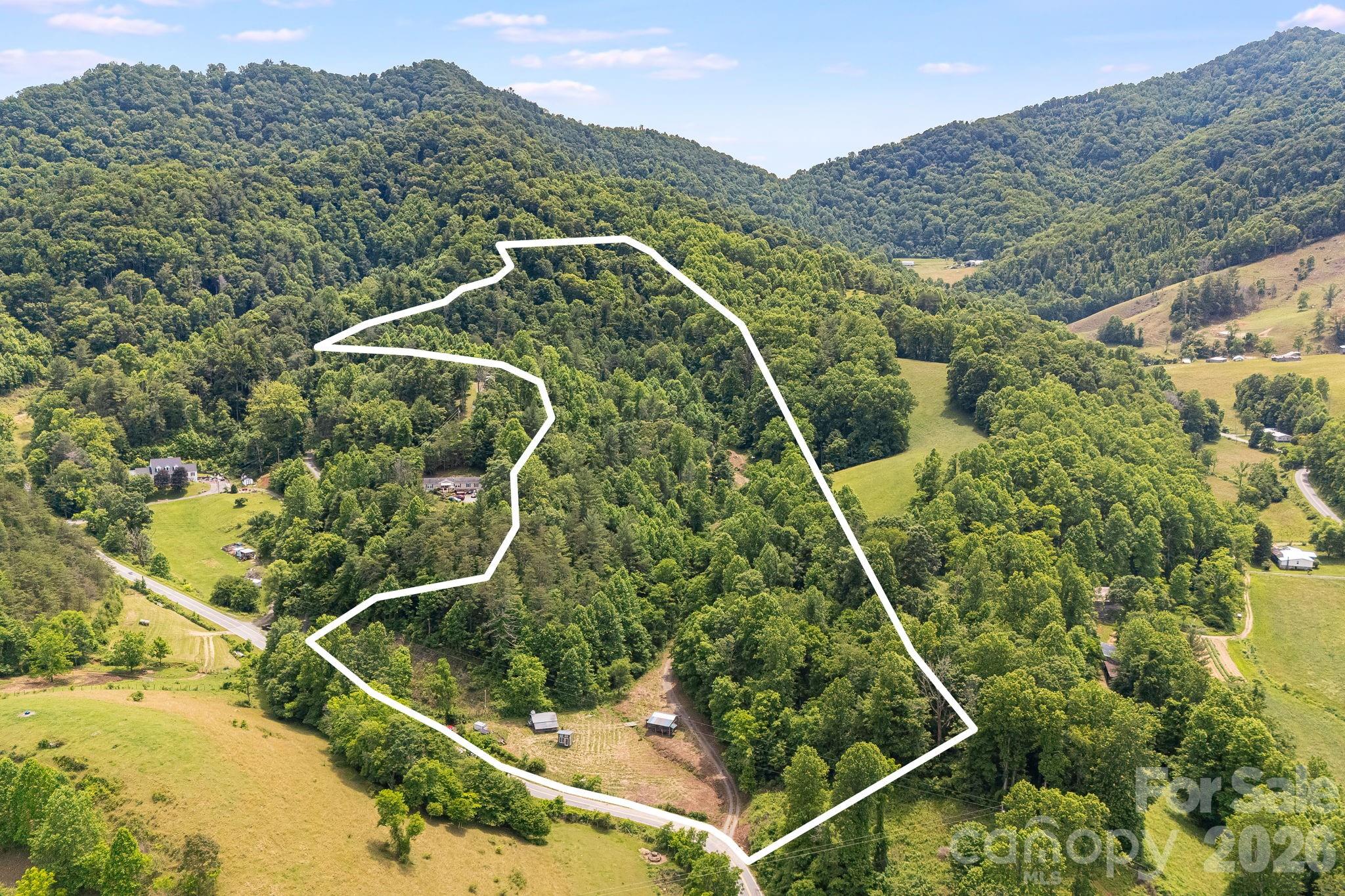 Outline of the 29 acres of pristine Madison County land - 224 Allen Drive, Marshall