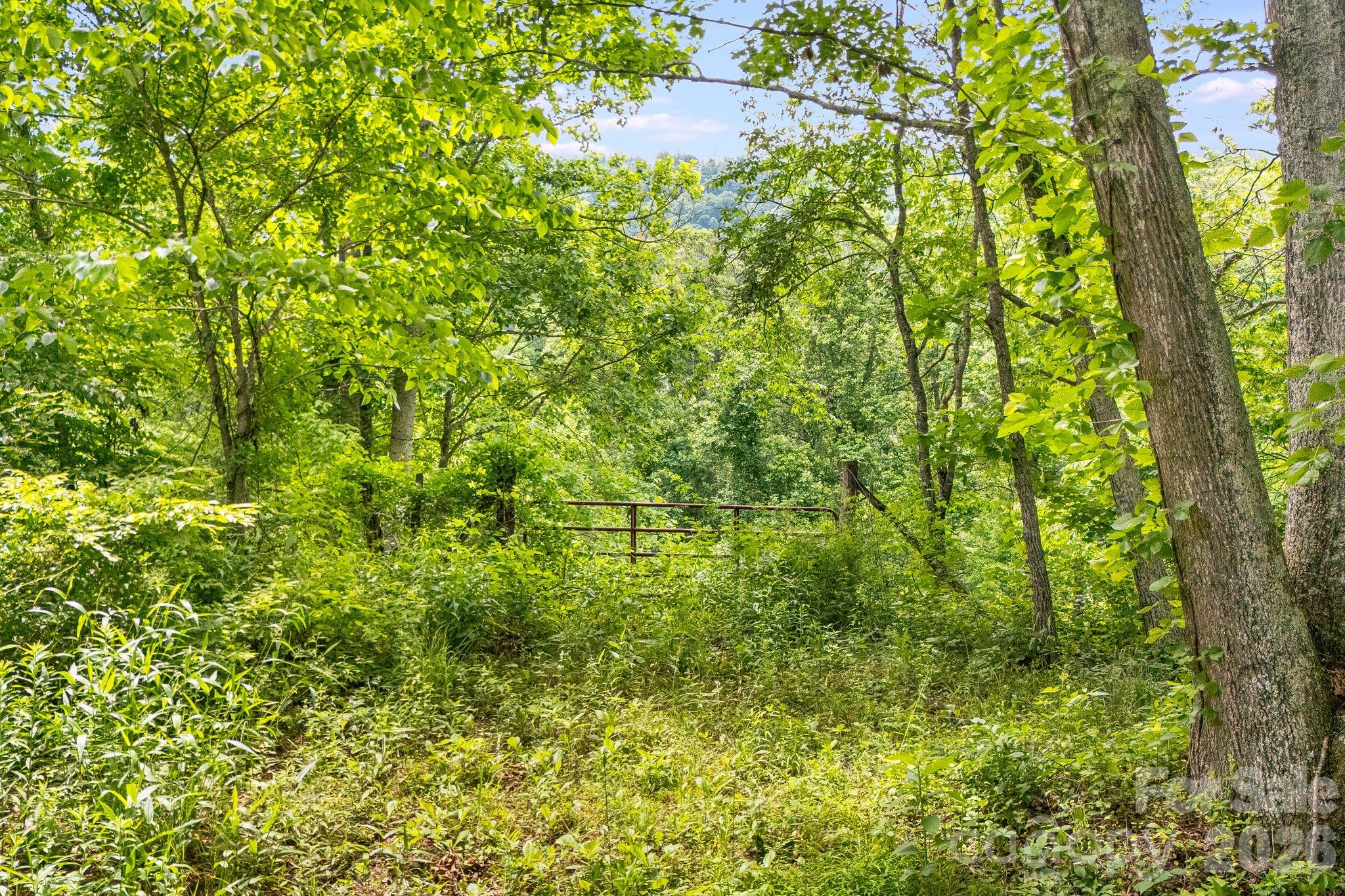 Farm at 224 Allen Drive, Marshall, photo 27 of 38
