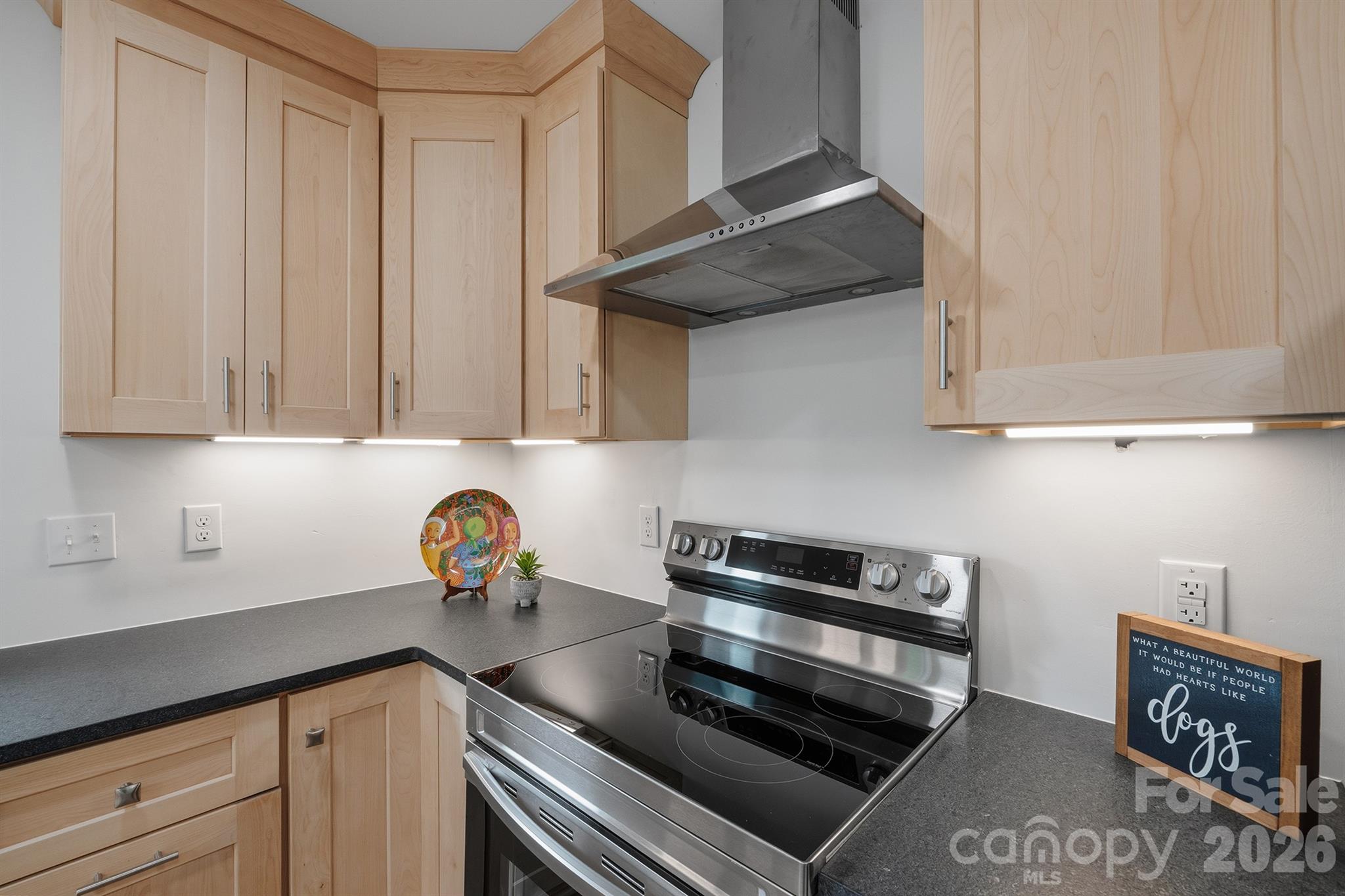 Stainless range hood - 7553 Katherine Drive, Denver