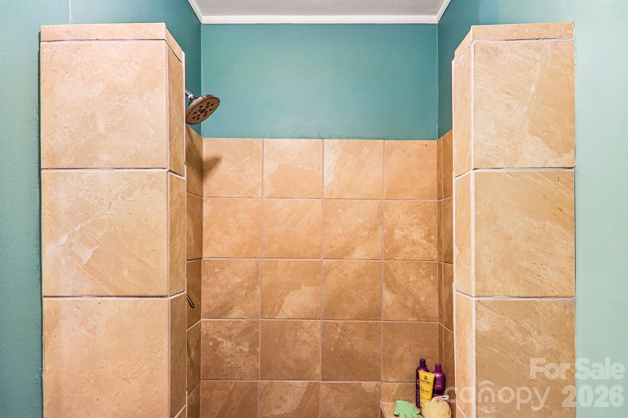 Shower in primary bathroom - 2291 Little River Road, Hendersonville