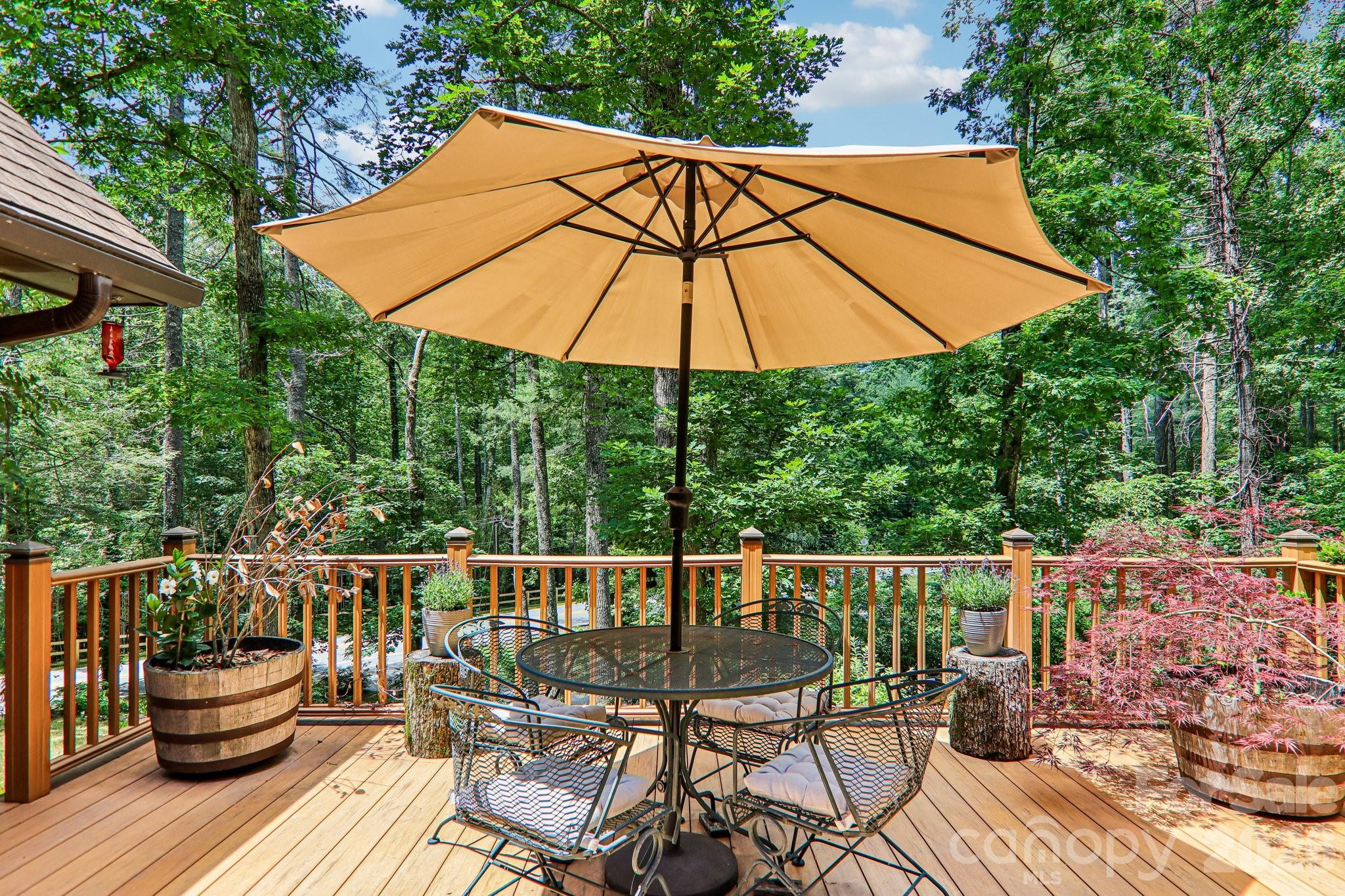 Single Family Residence at 2291 Little River Road, Hendersonville, photo 7 of 45