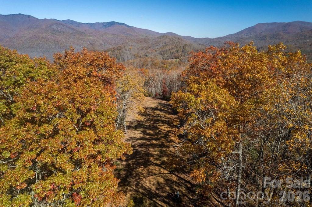 Acreage at Lot 7 Copperhead Cove, Sylva, photo 2 of 11