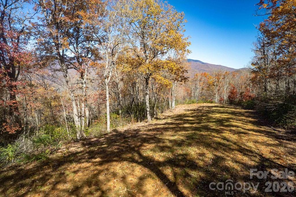 Acreage at Lot 7 Copperhead Cove, Sylva, photo 4 of 11