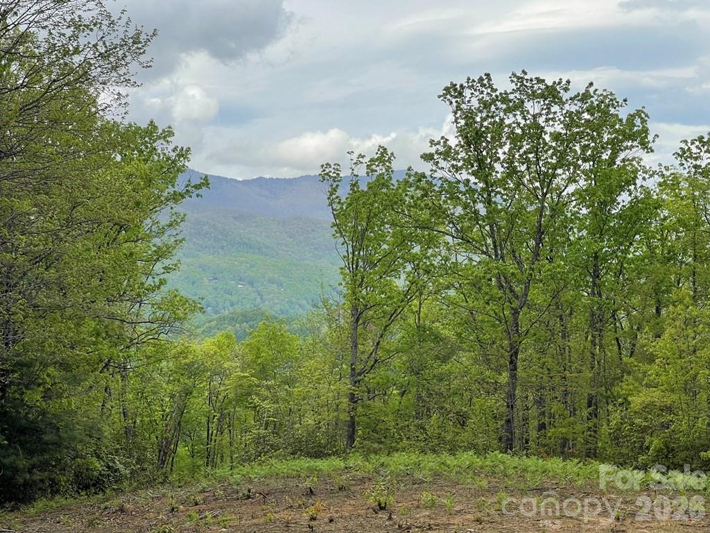 Acreage at Lot 7 Copperhead Cove, Sylva, photo 5 of 11