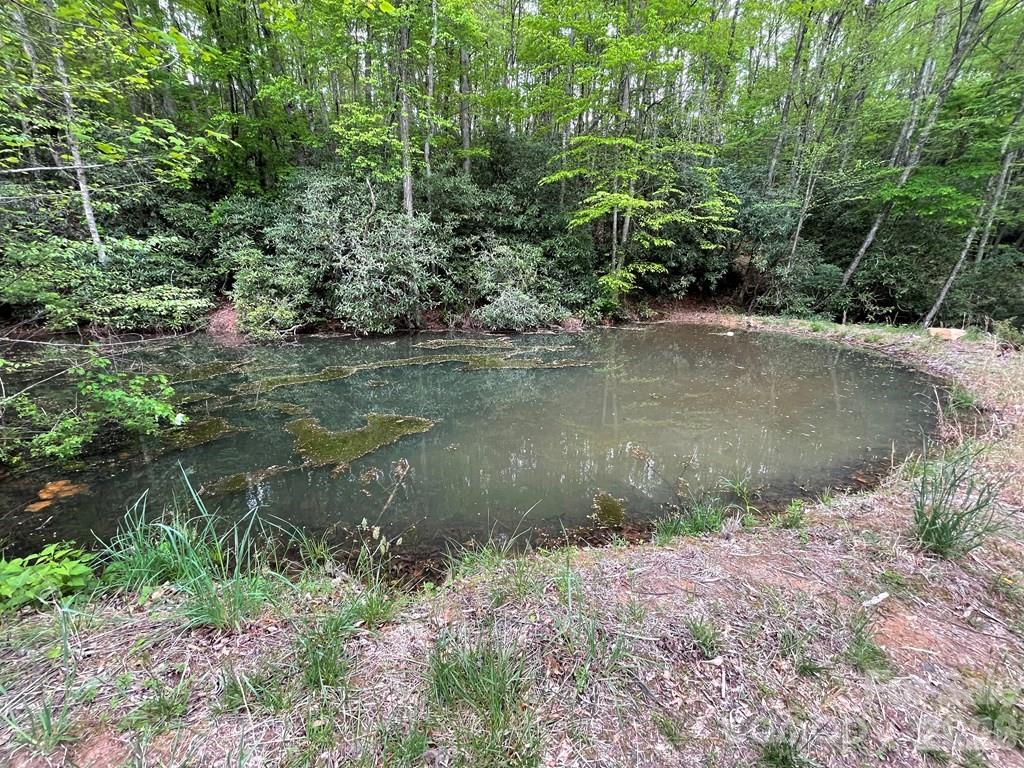 Acreage at Lot 7 Copperhead Cove, Sylva, photo 6 of 11