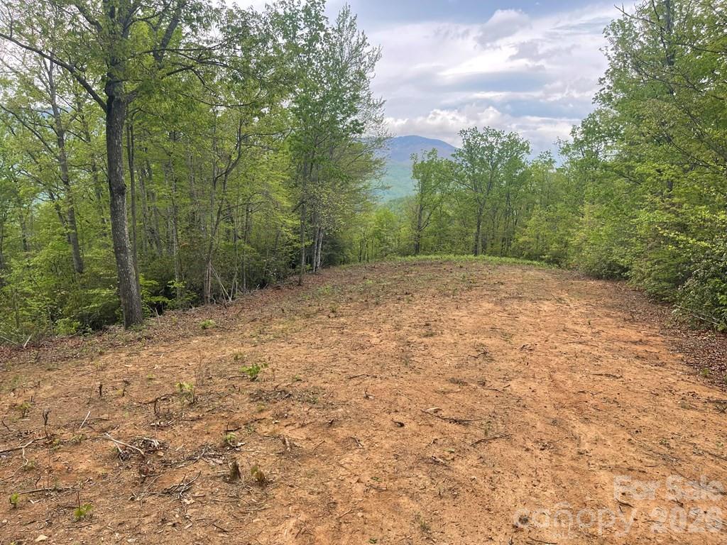 Acreage at Lot 7 Copperhead Cove, Sylva, photo 7 of 11