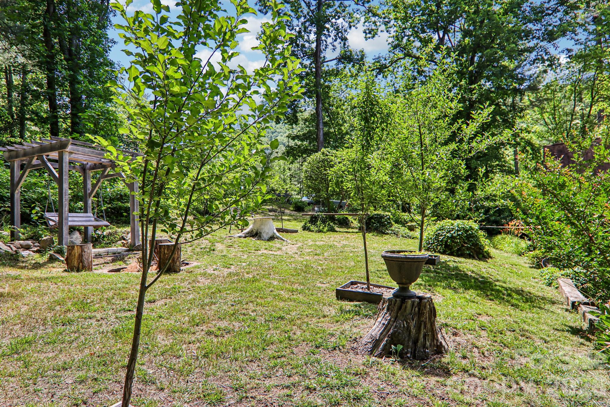Apple and pear trees - 2291 Little River Road, Hendersonville