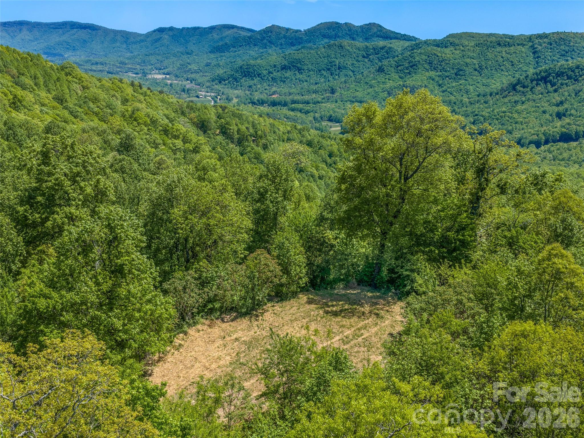 Gentle topography and a large, flat homesite create an ideal setting for luxury mountain living. - 488 Warbler Lane, Black Mountain
