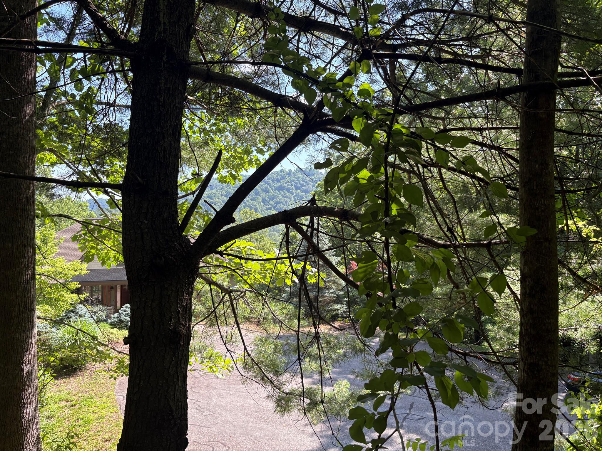 Lot at 239 Stone Valley Way, Hendersonville, photo 10 of 18