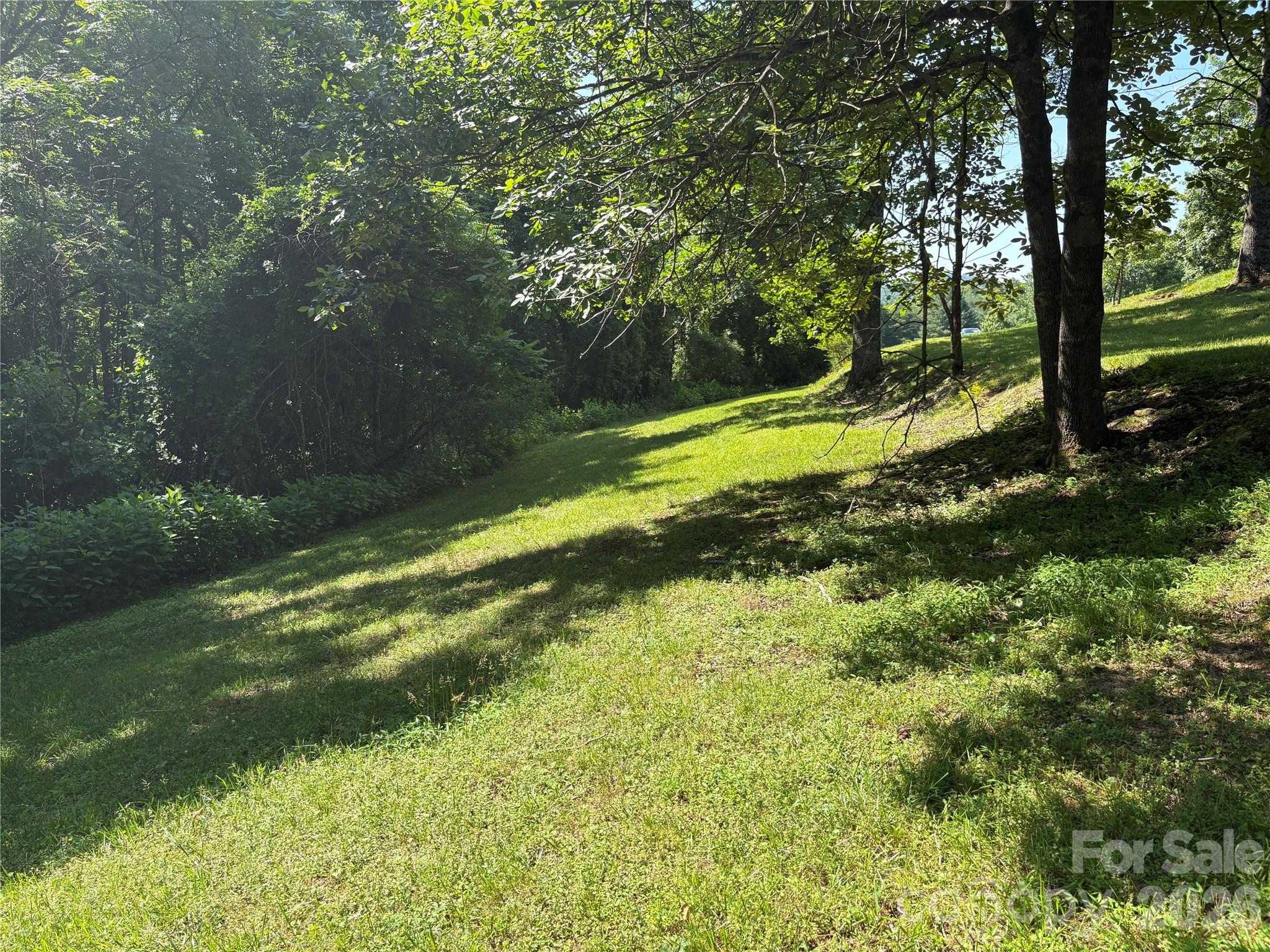 Lot at 239 Stone Valley Way, Hendersonville, photo 11 of 18