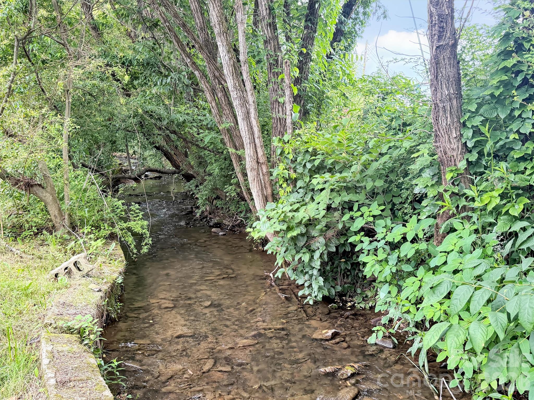 stream in back - 492 Riverbend Street, Waynesville