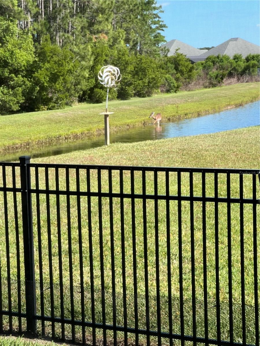 Single Family Residence at 3331 BELLINO BLVD, NEW SMYRNA BEACH, photo 38 of 58