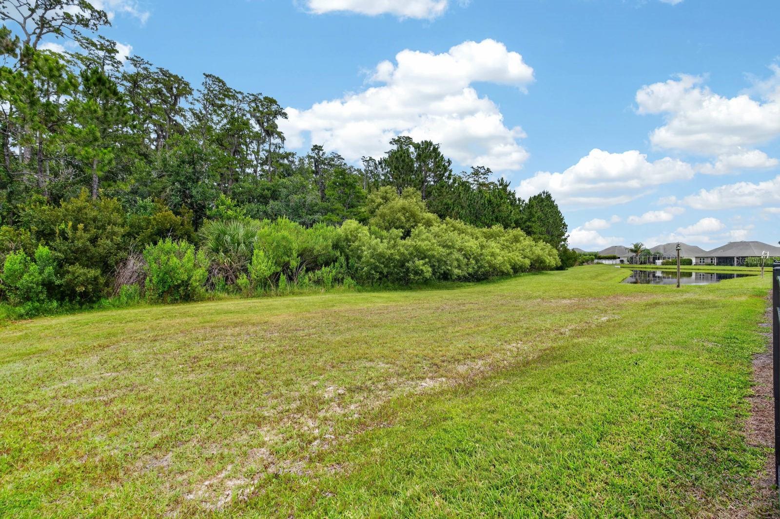 Single Family Residence at 3331 BELLINO BLVD, NEW SMYRNA BEACH, photo 40 of 58