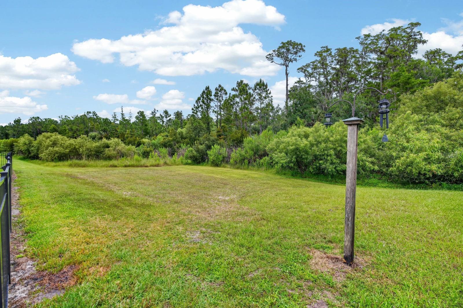 Single Family Residence at 3331 BELLINO BLVD, NEW SMYRNA BEACH, photo 41 of 58