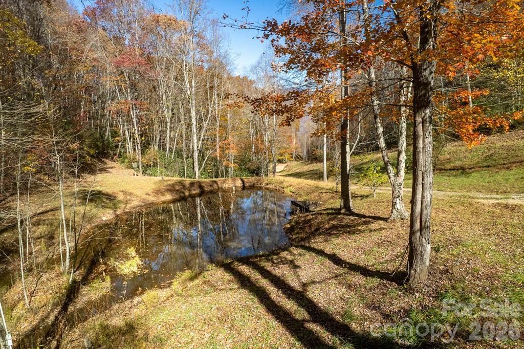Single Family Residence at 930 Copperhead Cove, Sylva, photo 4 of 22