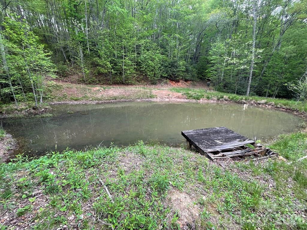 Single Family Residence at 930 Copperhead Cove, Sylva, photo 7 of 22
