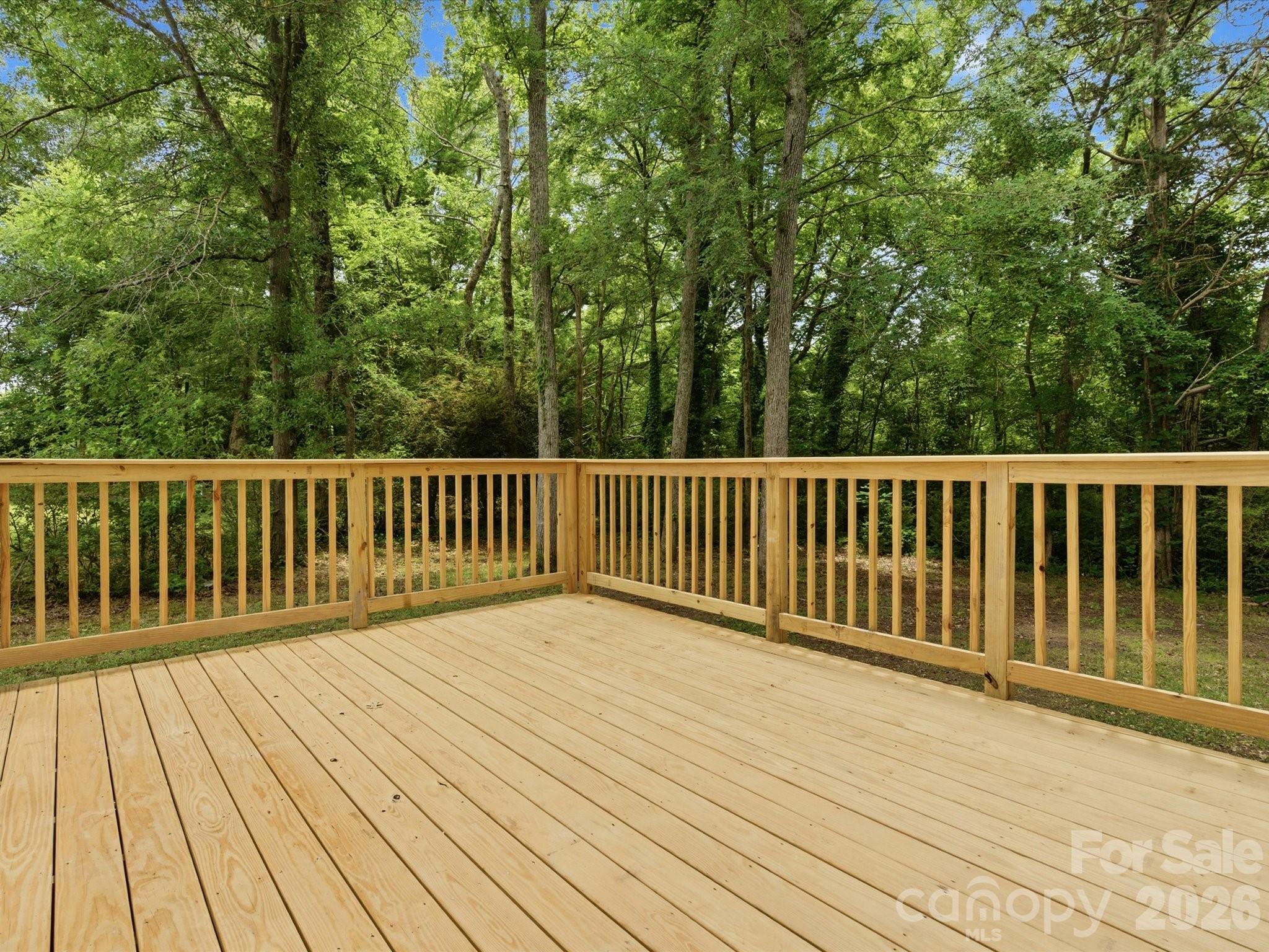 Single Family Residence at 116 Scottie Court, Rock Hill, photo 47 of 48