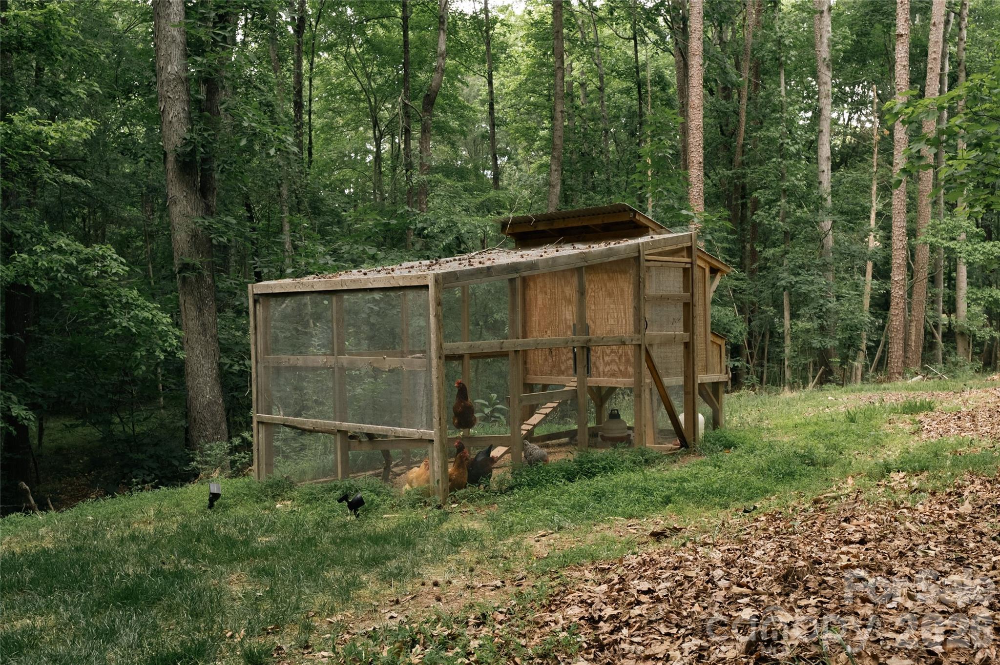 Custom built chicken coop - 1800 Chestnut Lane, Matthews