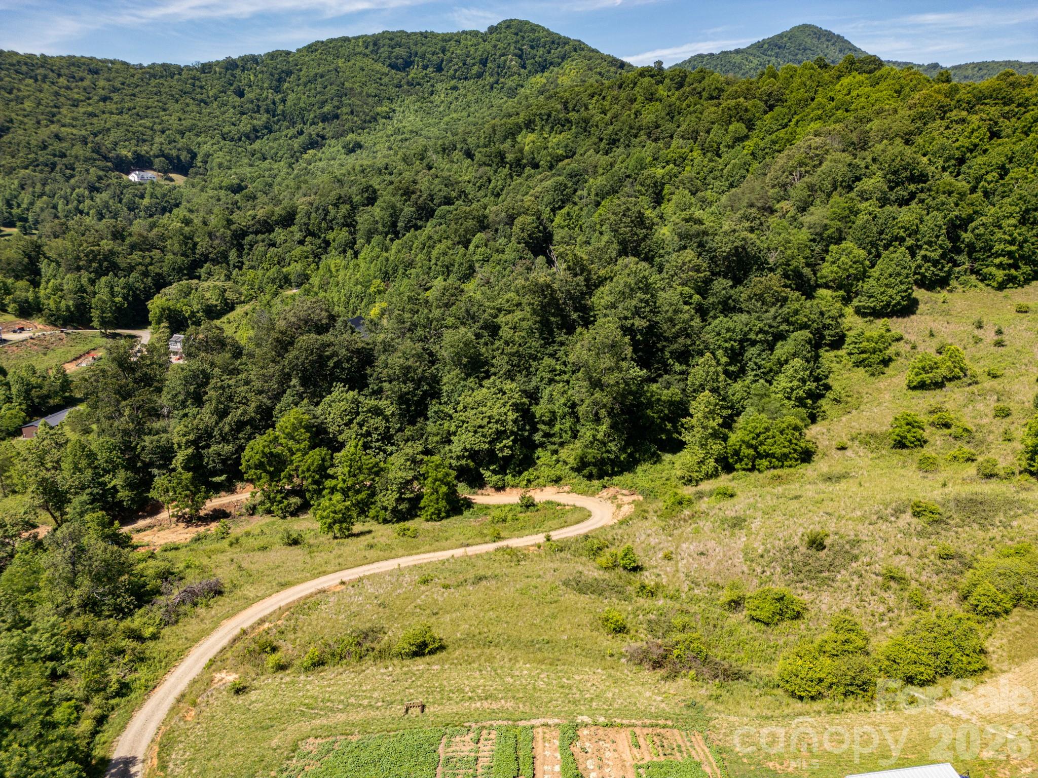Acreage at 999 Murphy Cove Road, Candler, photo 6 of 48