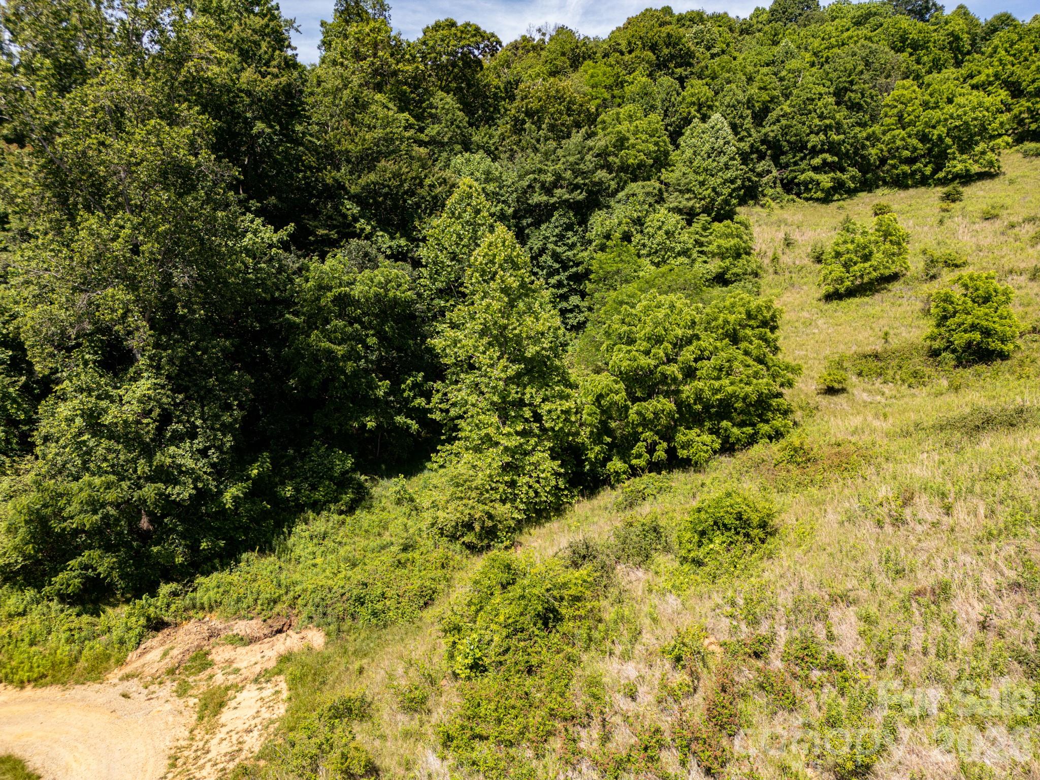 Acreage at 999 Murphy Cove Road, Candler, photo 11 of 48