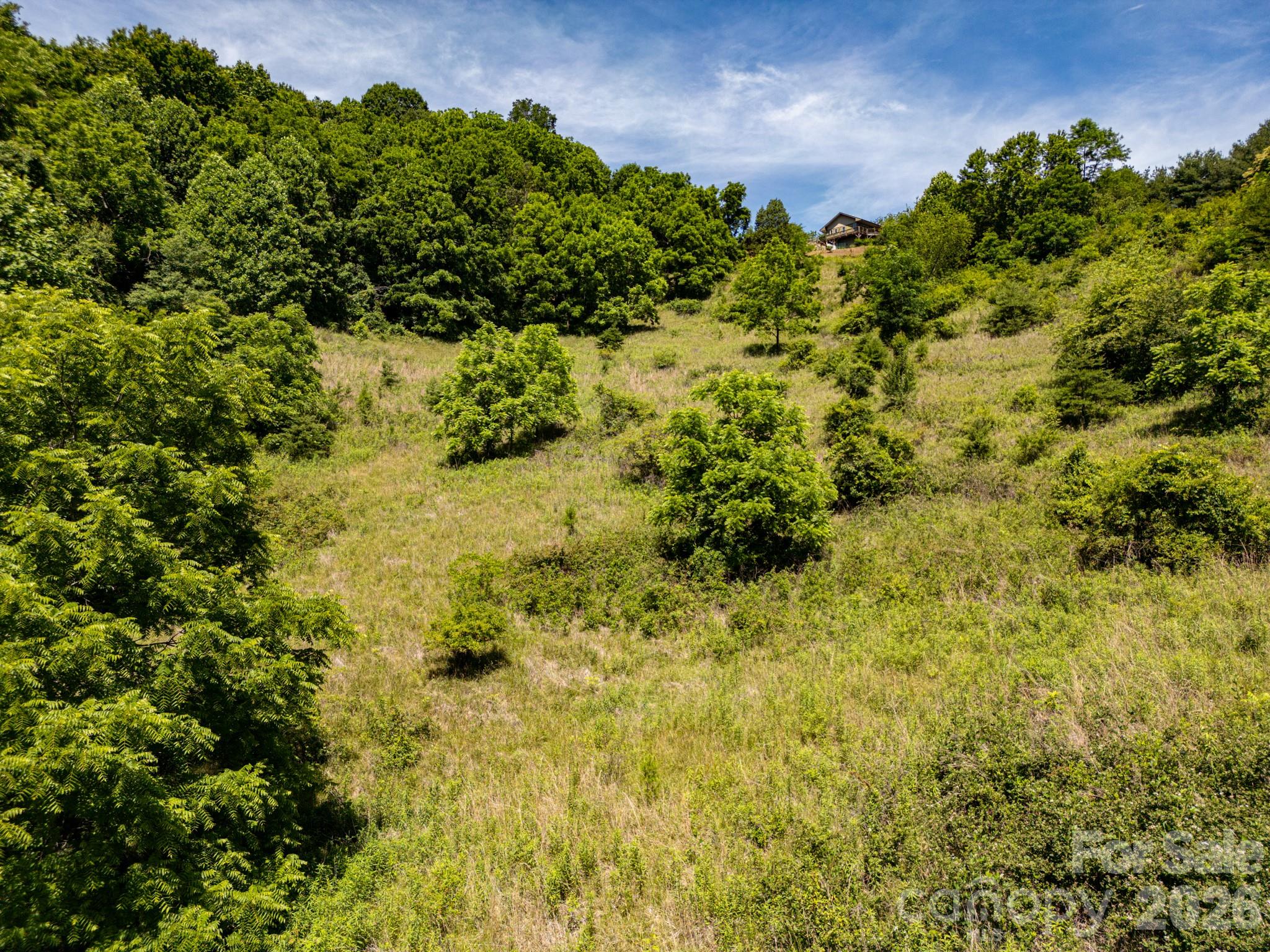 Acreage at 999 Murphy Cove Road, Candler, photo 36 of 48
