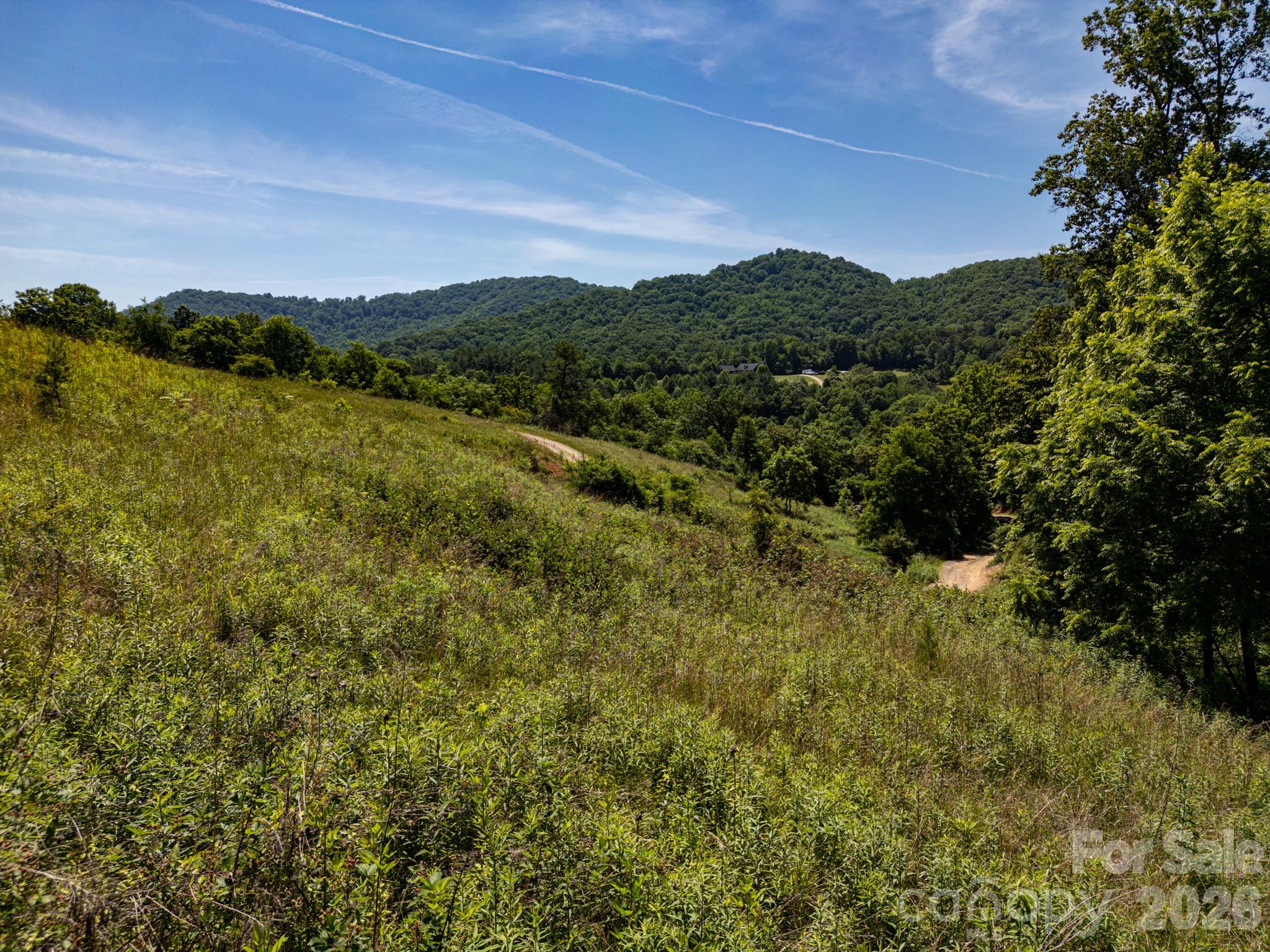 Acreage at 999 Murphy Cove Road, Candler, photo 38 of 48