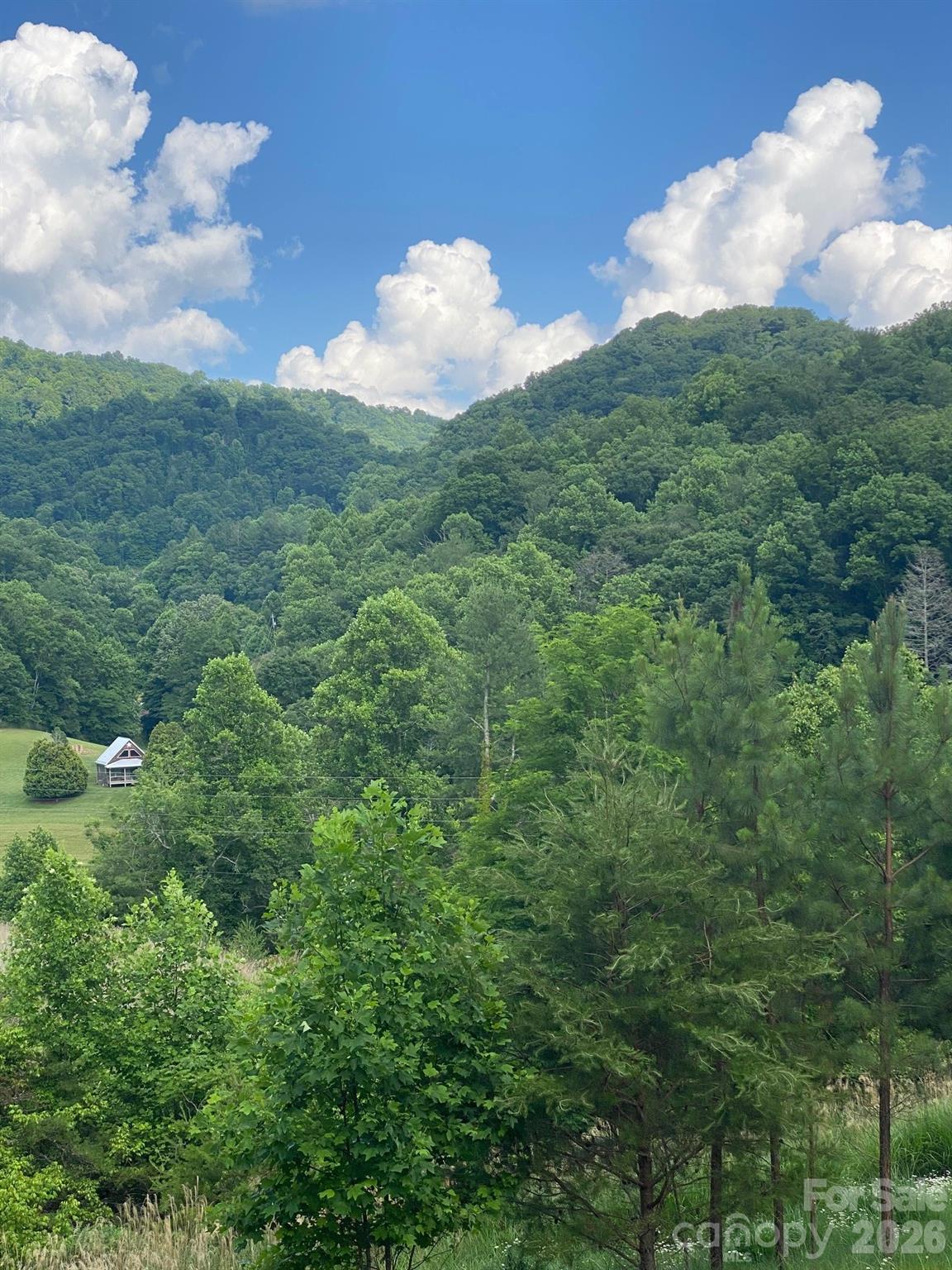 Acreage at 000 East Fork Road, Marshall, photo 11 of 22