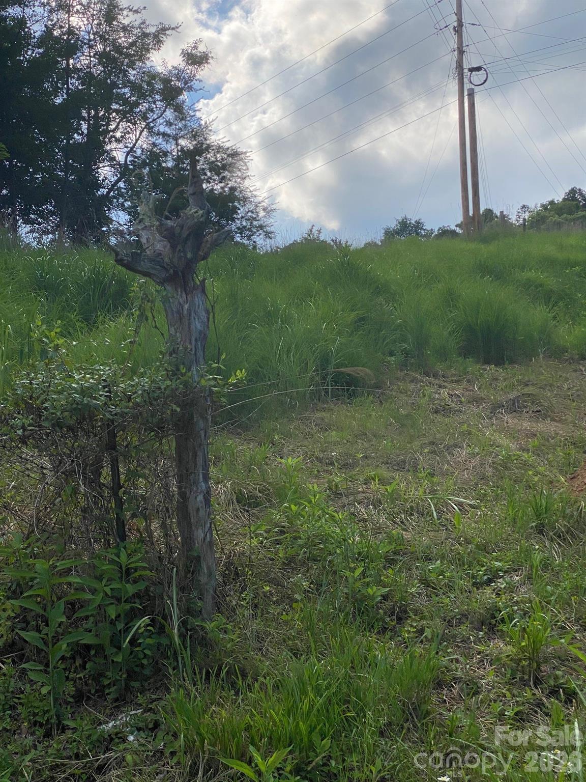 Property ends at left side of ridge line - 000 East Fork Road, Marshall