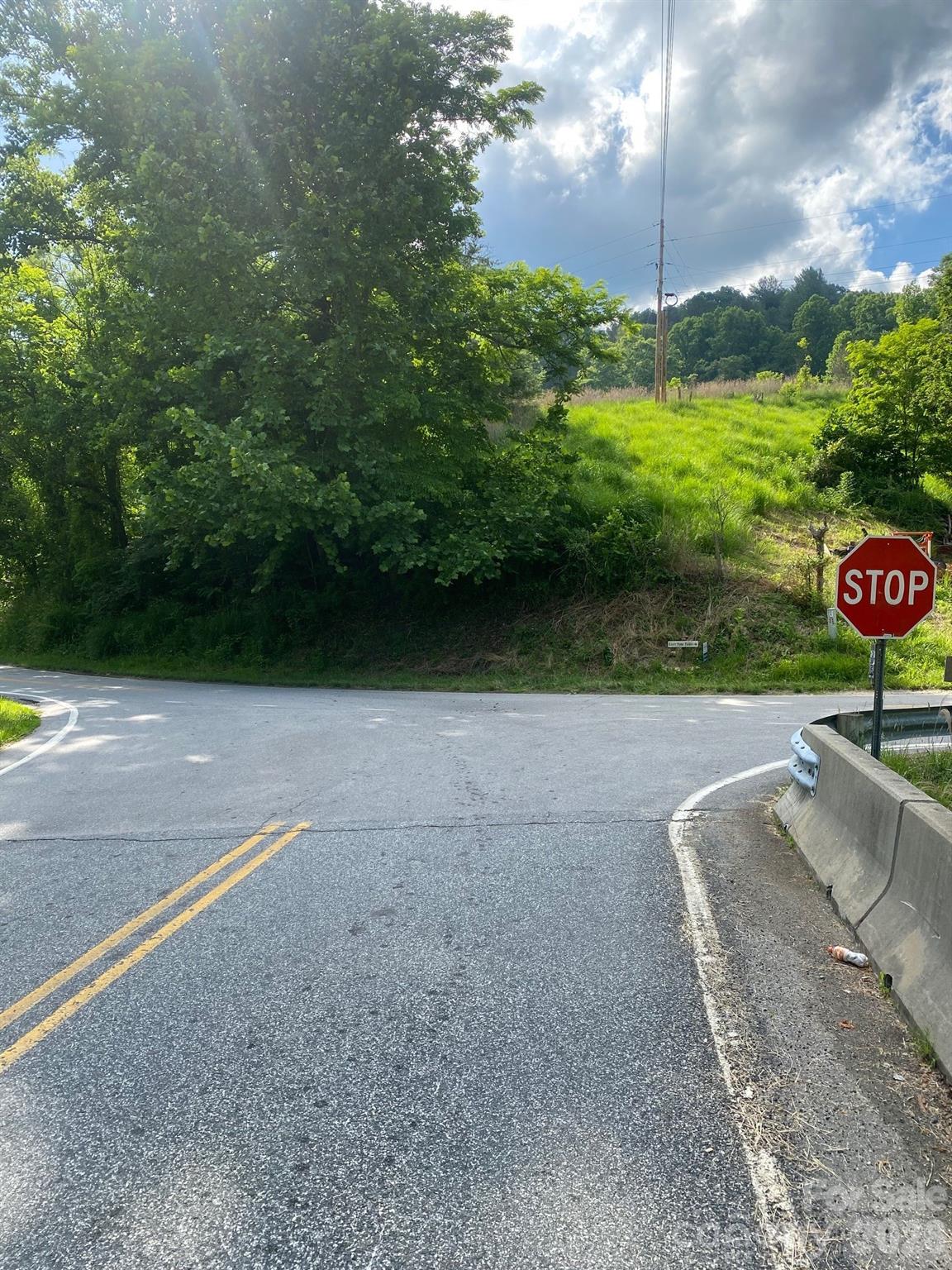 View of property from Bone Camp Road stop sign. - 000 East Fork Road, Marshall