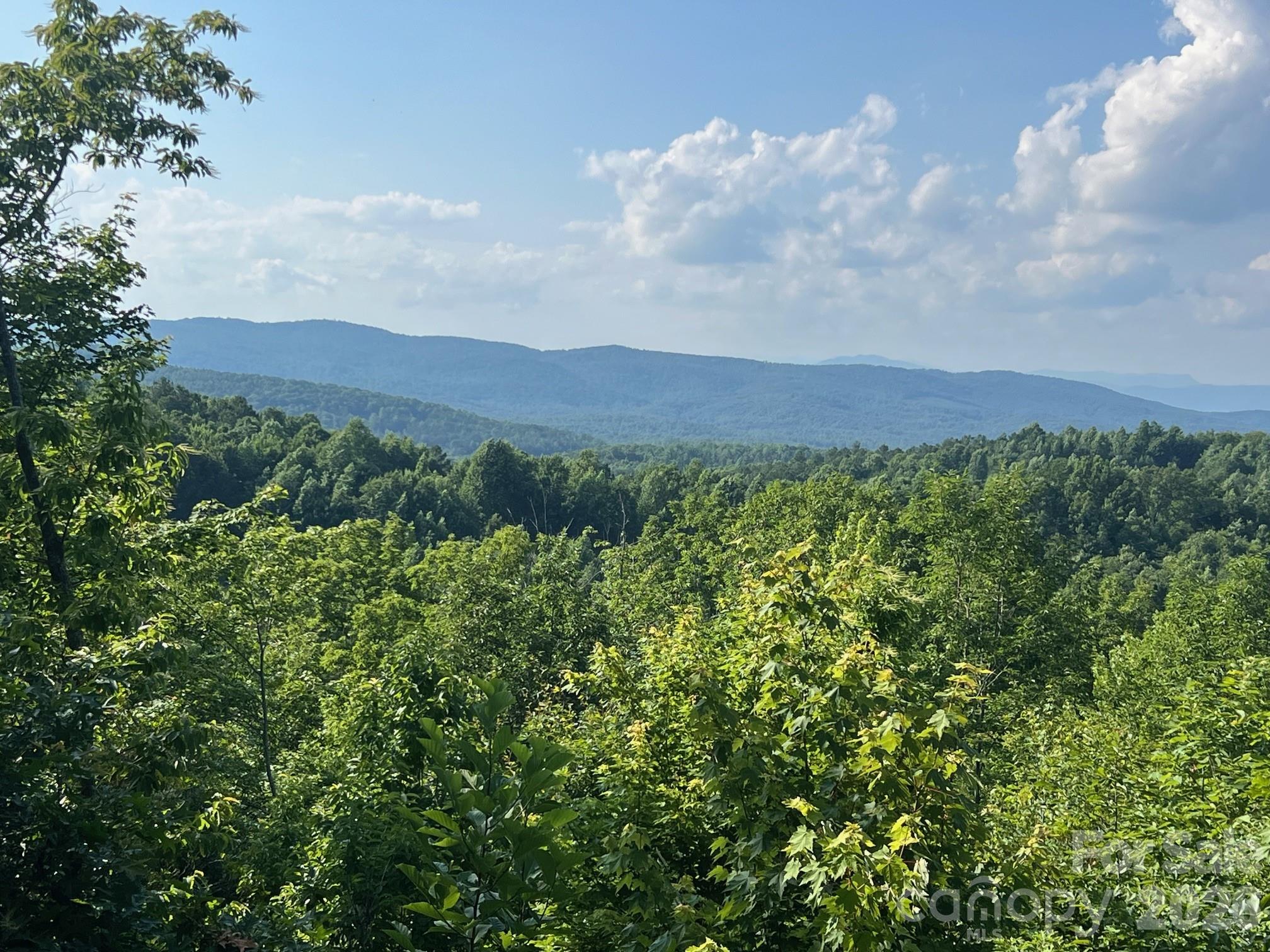 View from property - 253 Falls Creek Drive, Nebo