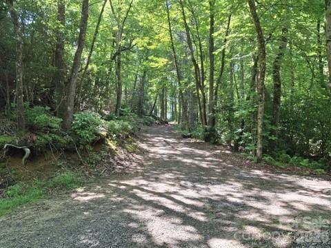 road - 630 Shumont Road, Black Mountain