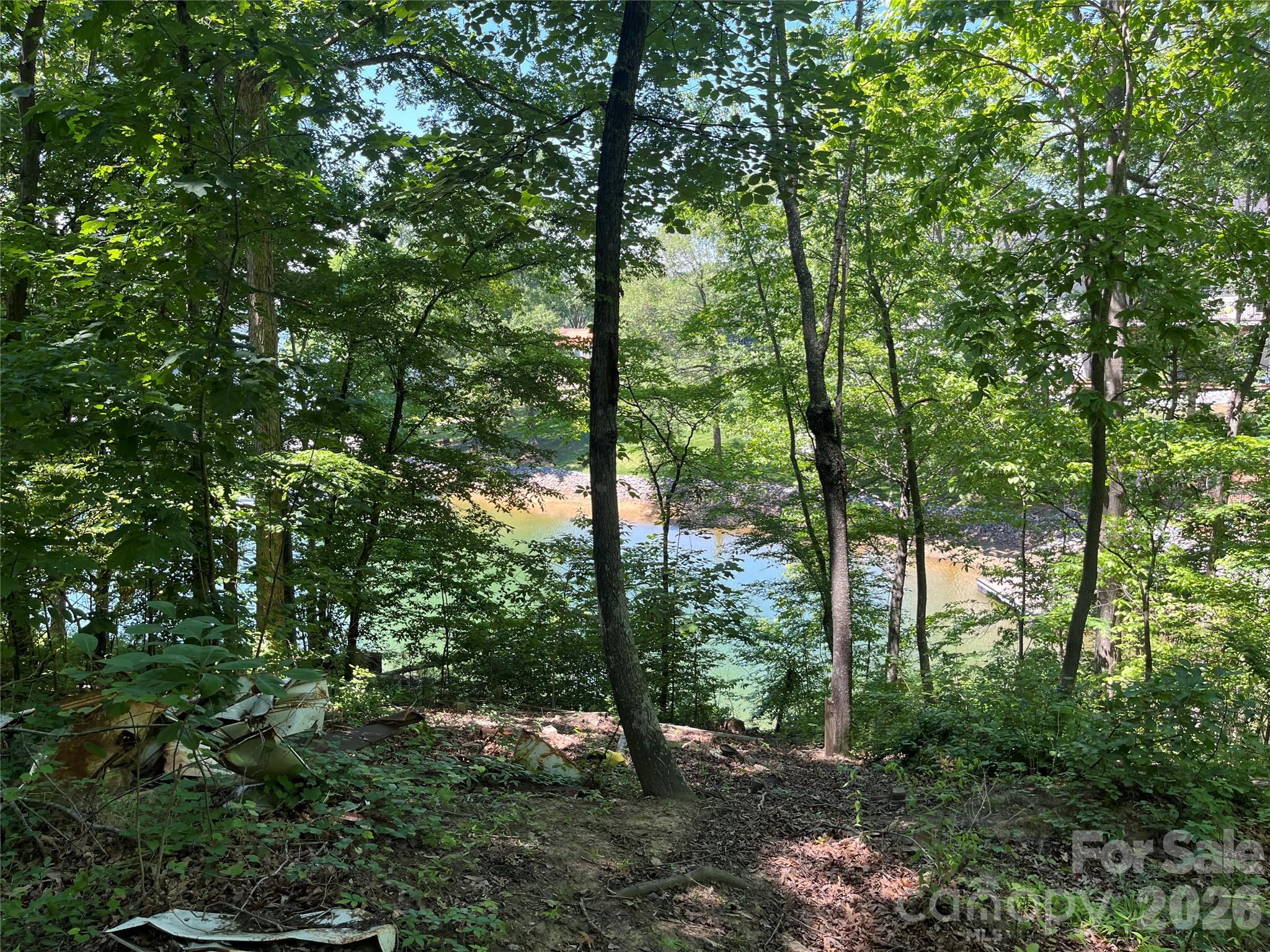 Lot at 120 Sawyer Lane, Mooresville, photo 4 of 24