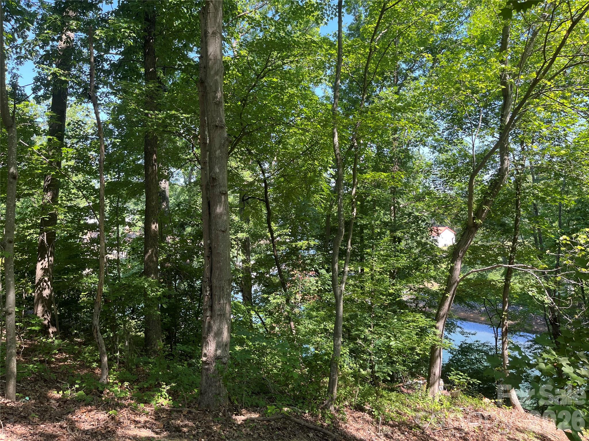 Lot at 120 Sawyer Lane, Mooresville, photo 5 of 24