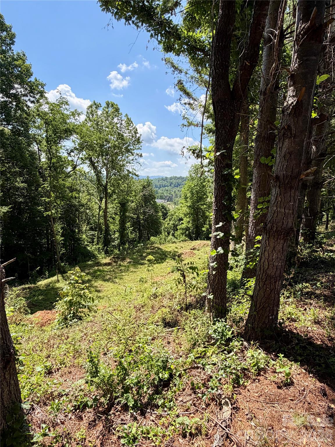 Lot at 12 Willow Knoll Drive, Weaverville, photo 2 of 5