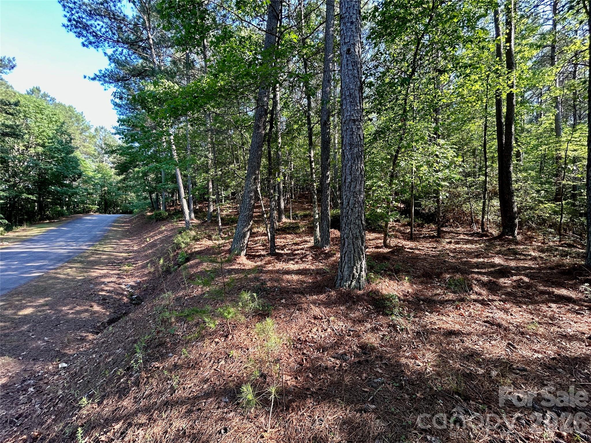 Lot at 2143 Lighthouse Lane, Connelly Springs, photo 4 of 13