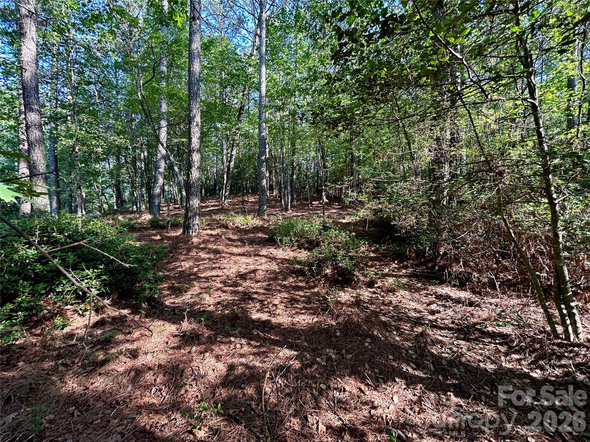 Lot at 2143 Lighthouse Lane, Connelly Springs, photo 5 of 13