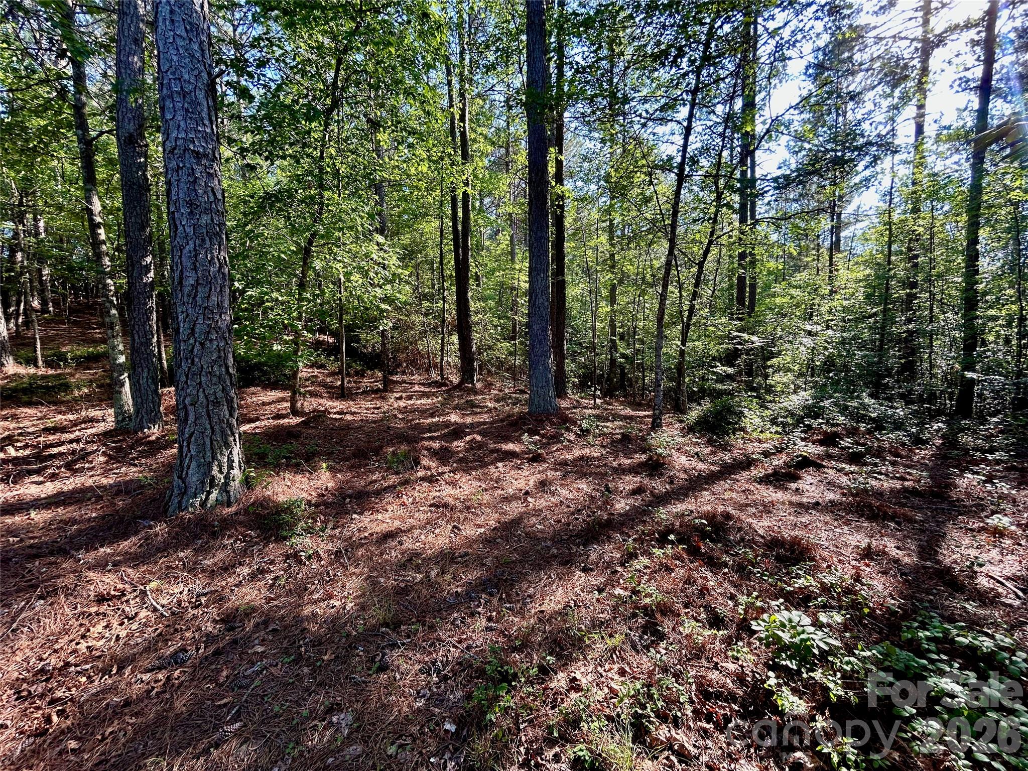 Lot at 2143 Lighthouse Lane, Connelly Springs, photo 6 of 13