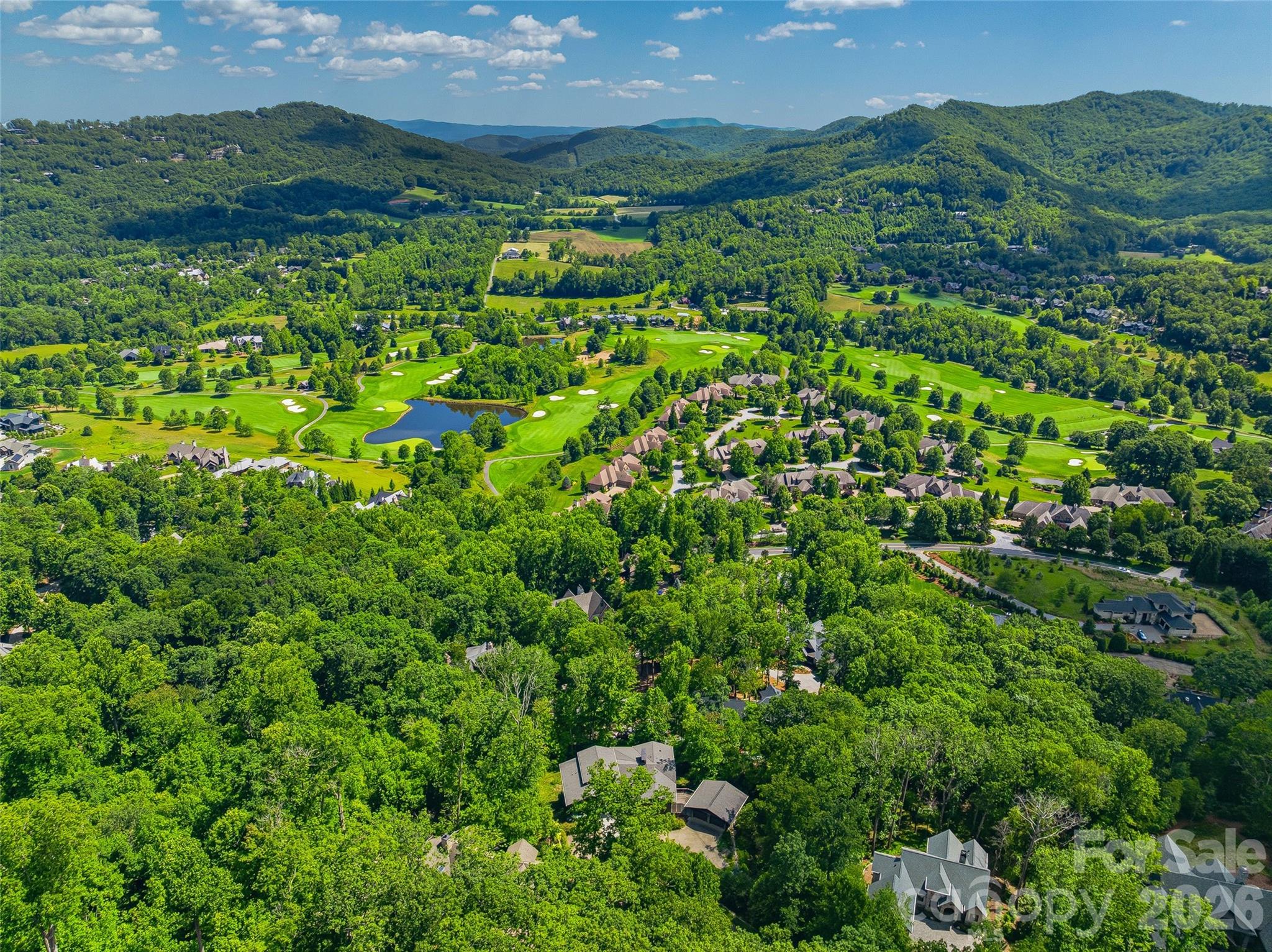Aerial perspective revealing the home's remarkable mountain setting - 1121 Timberbluff Way, Arden