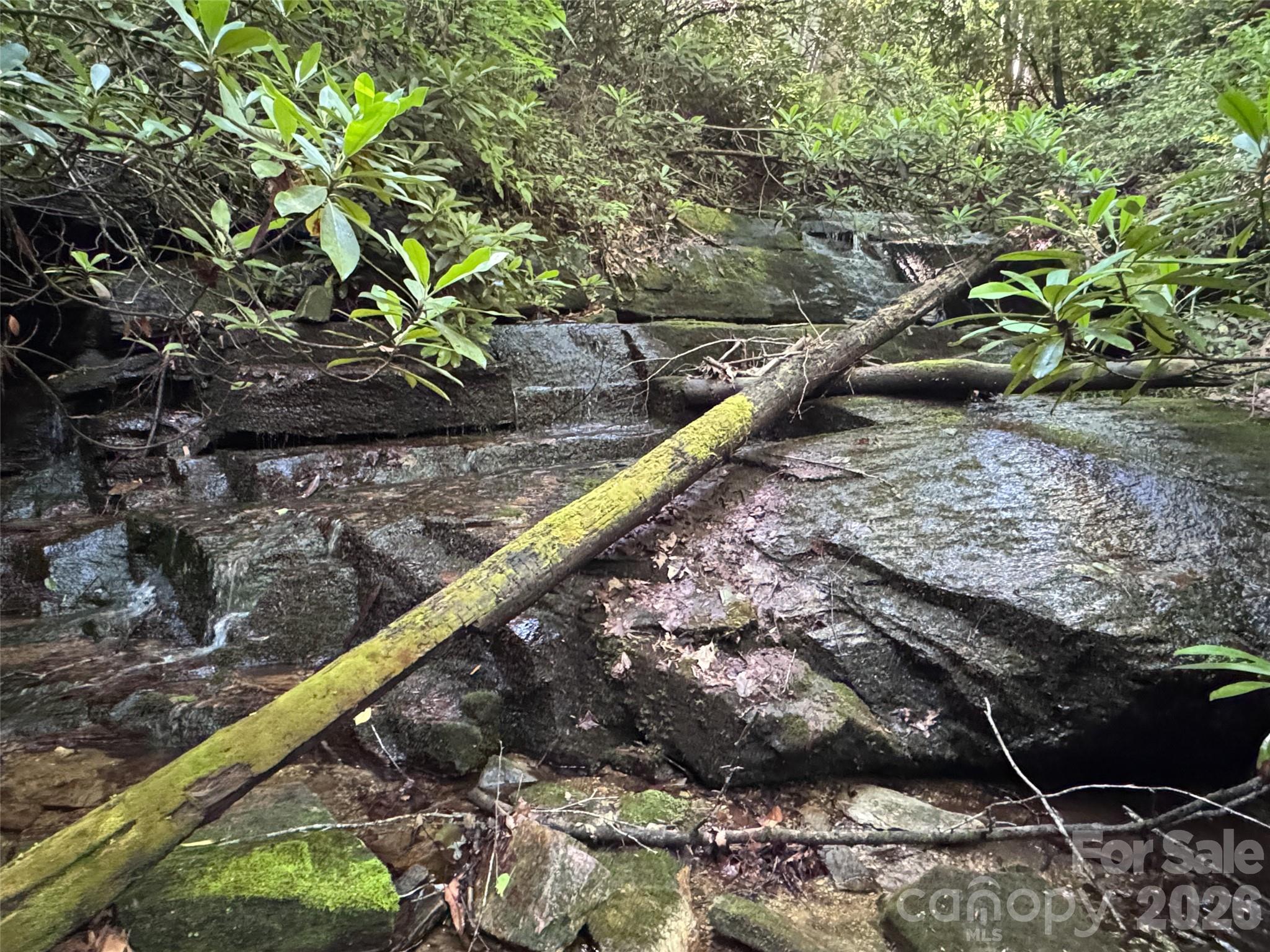 Lot at 000 Chestnut Oak Lane, Pisgah Forest, photo 3 of 29