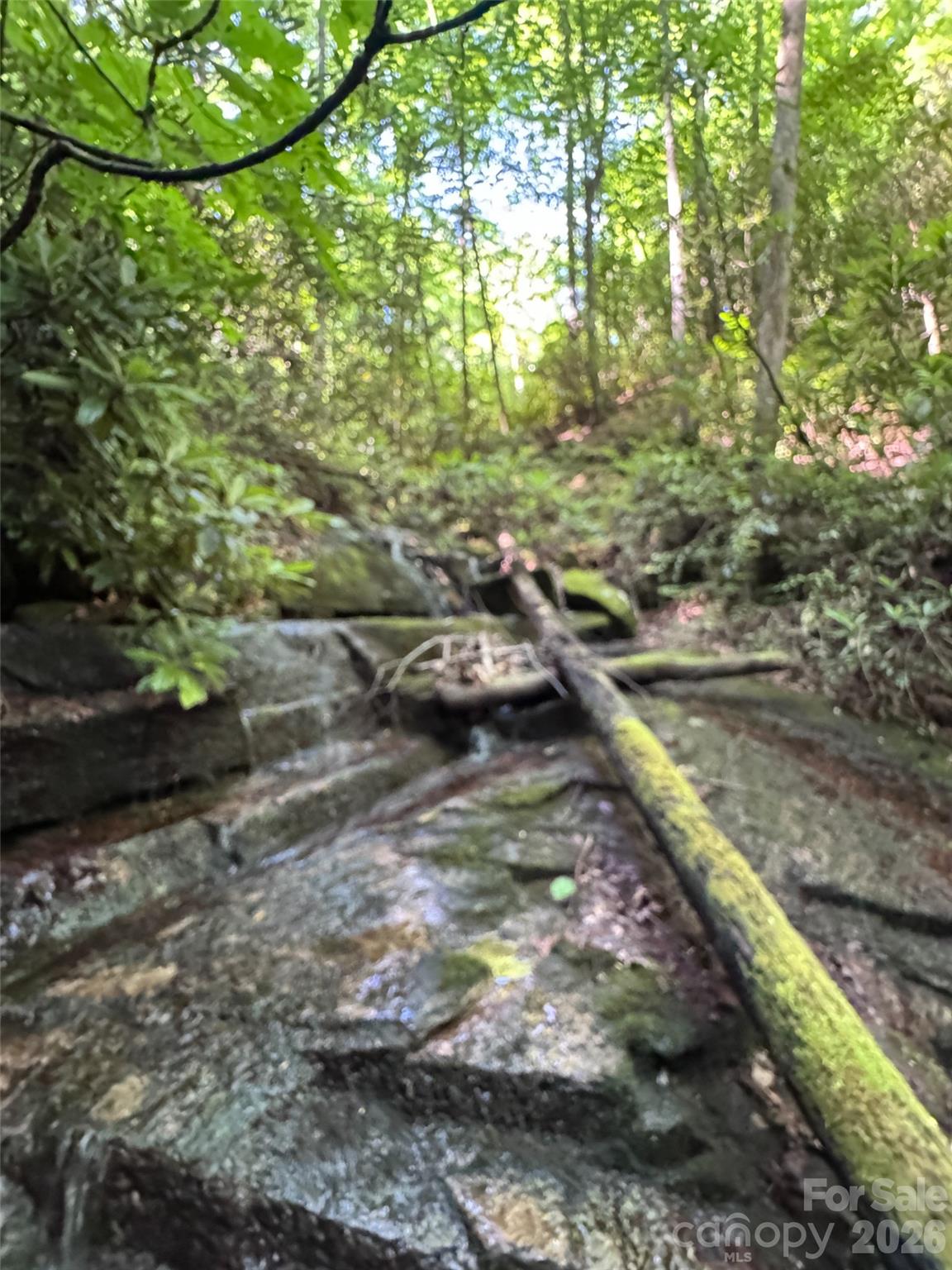 Lot at 000 Chestnut Oak Lane, Pisgah Forest, photo 4 of 29